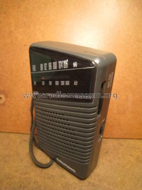 Boy 45; Grundig Radio- (ID = 2021578) Radio