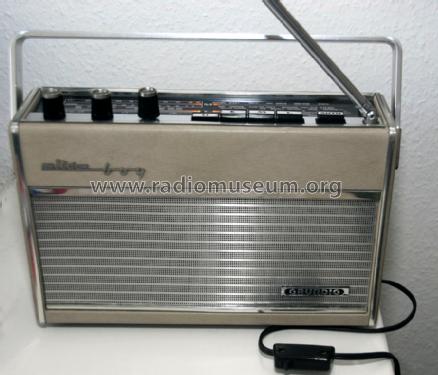 Elite-Boy 205; Grundig Radio- (ID = 1458762) Radio