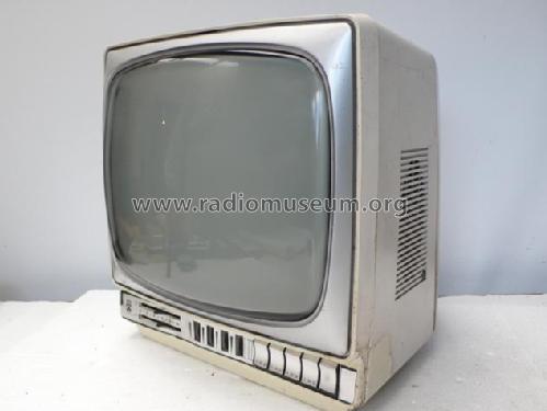 Elite Electronic 1230; Grundig Radio- (ID = 1680287) Television