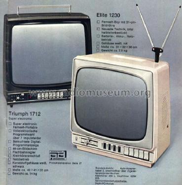 Elite Electronic 1230; Grundig Radio- (ID = 479947) Television