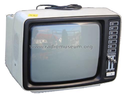 Exclusiv 1451; Grundig Radio- (ID = 1598195) Television