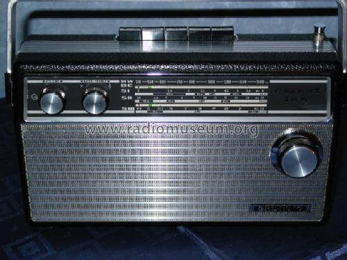 Export-Boy 207; Grundig Radio- (ID = 31831) Radio