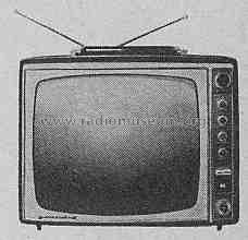Fernseh-Boy 48 P 100 a; Grundig Radio- (ID = 252033) Television
