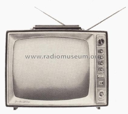 Fernseh-Boy 48 P 100 a; Grundig Radio- (ID = 2006962) Television