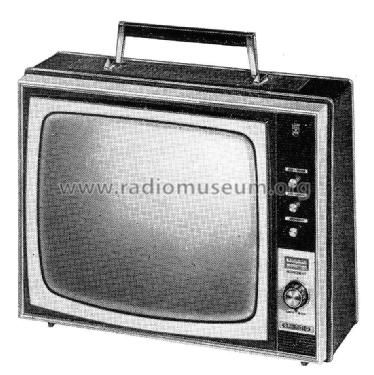 Fernseh-Boy P1600 Luxus; Grundig Radio- (ID = 2066454) Television