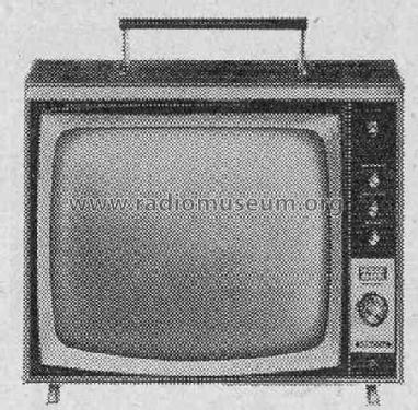 Fernseh-Boy P1900 Luxus; Grundig Radio- (ID = 300941) Television