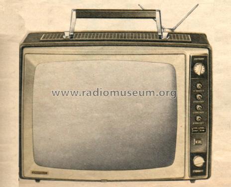 Fernseh-Boy P300; Grundig Radio- (ID = 1095967) Television