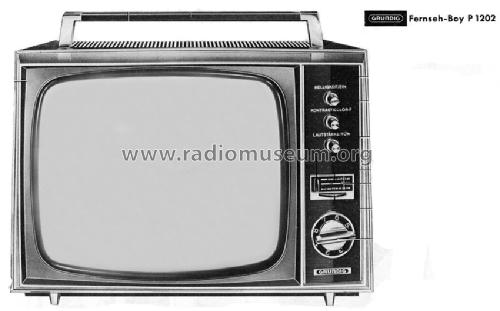 Fernseh-Boy P1202; Grundig Radio- (ID = 657386) Télévision