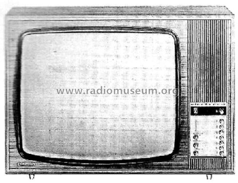 Garant 2402E; Grundig Radio- (ID = 1550947) Television
