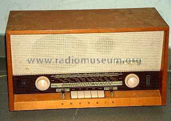 Musikgerät 2029; Grundig Radio- (ID = 21969) Radio