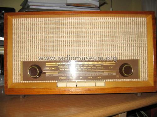 Musikgerät 96M; Grundig Radio- (ID = 1027761) Radio
