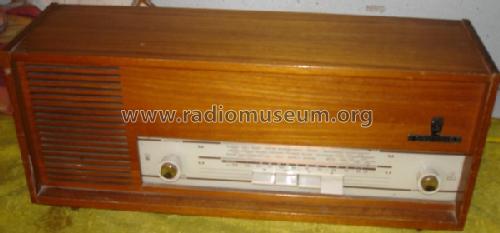 Musikgerät 98Asa; Grundig Radio- (ID = 301802) Radio