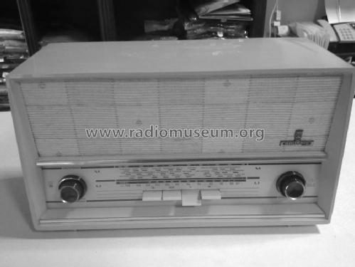 Musikgerät RF100; Grundig Radio- (ID = 1244285) Radio