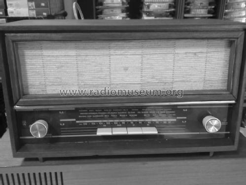 Musikgerät RF102; Grundig Radio- (ID = 1244299) Radio