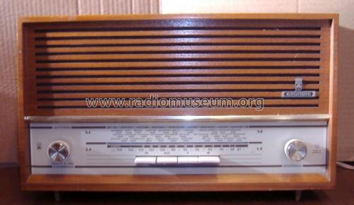 Musikgerät RF102; Grundig Radio- (ID = 1807859) Radio