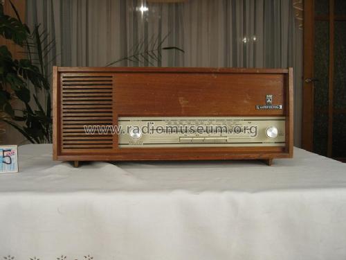 Musikgerät RF105; Grundig Radio- (ID = 730205) Radio