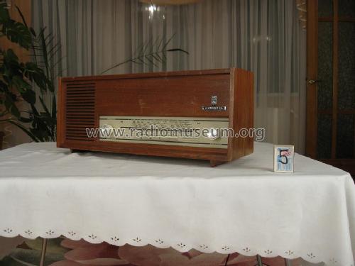 Musikgerät RF105; Grundig Radio- (ID = 730206) Radio