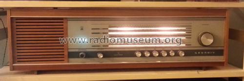 Musikgerät RF145; Grundig Radio- (ID = 1498690) Radio