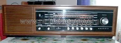 Musikgerät RF245; Grundig Radio- (ID = 57766) Radio