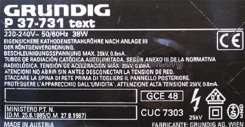 P37-731 text Ch= CUC 7303; Grundig Austria GmbH (ID = 1541431) Televisore