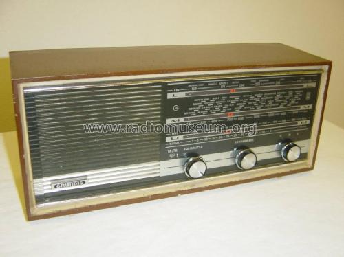 RF110; Grundig Radio- (ID = 109058) Radio