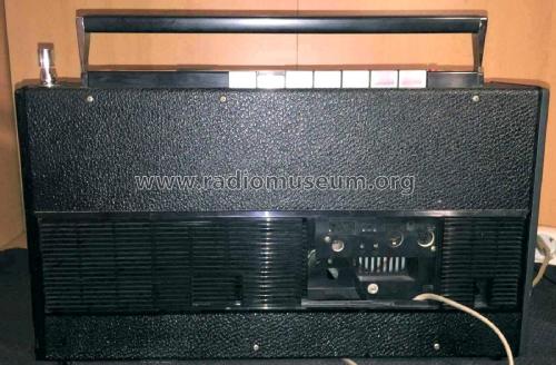 Satellit 1000; Grundig Radio- (ID = 1994868) Radio