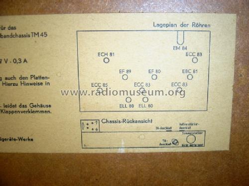 Stereo-Konzertschrank SO290; Grundig Radio- (ID = 1538154) Radio