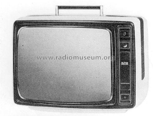 Super Color 1830; Grundig Radio- (ID = 1595788) Television