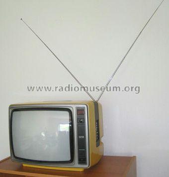Super Color 1832; Grundig Radio- (ID = 1253165) Television