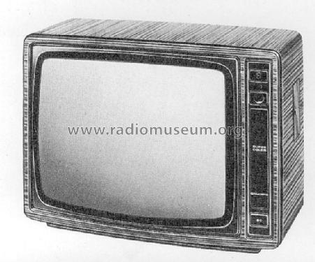 Super Color 4230; Grundig Radio- (ID = 1581634) Televisión