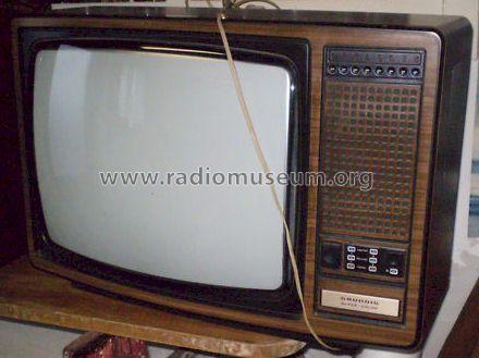 Super Color 4600; Grundig Radio- (ID = 971627) Televisore