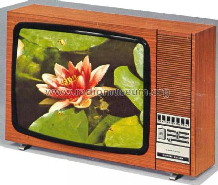 Super Color 5011; Grundig Radio- (ID = 479939) Television