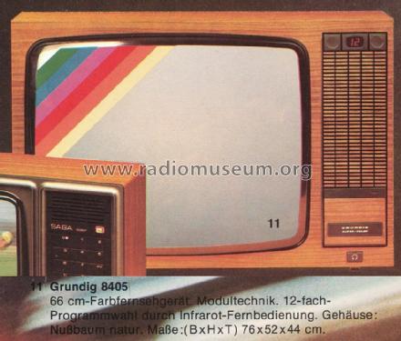 Super-Color 8405; Grundig Radio- (ID = 1268234) Television