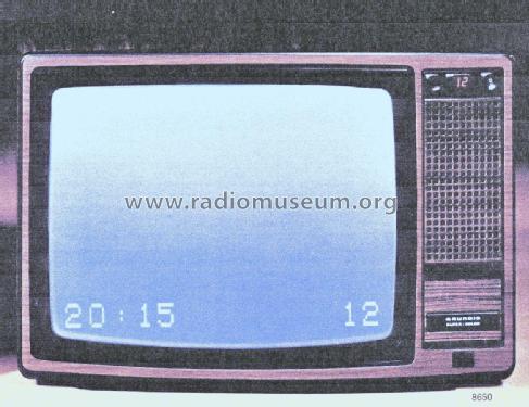 Super Color 8650; Grundig Radio- (ID = 2380619) Television