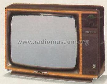 Super Color C3302 Serie F1616 Ch= CUC52KT; Grundig Radio- (ID = 2072609) Television