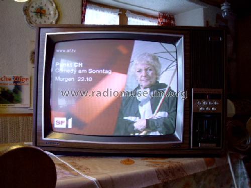 T905 Color Electronic Ch= T902a; Grundig Radio- (ID = 1664527) Television