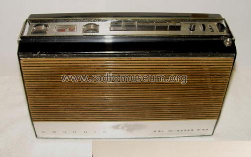 TK2400 FM Automatic; Grundig Radio- (ID = 397428) Radio