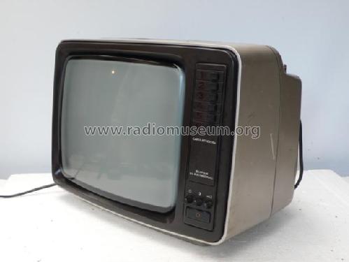 Triumph 1421; Grundig Radio- (ID = 1680289) Television