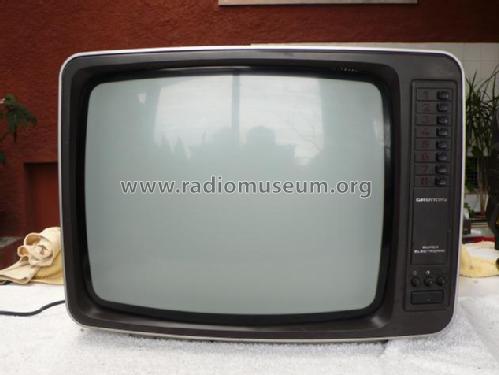 Triumph 1721; Grundig Radio- (ID = 1610326) Televisore