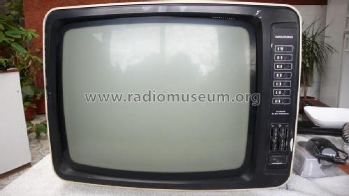 Triumph 2020; Grundig Radio- (ID = 1614907) Television