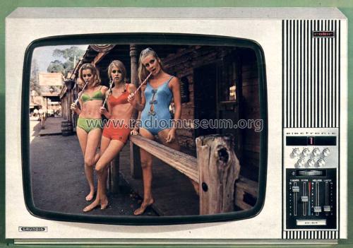 Triumph 2200 Color electronic; Grundig Radio- (ID = 2074084) Television