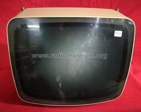 Triumph Super Electronic 1215; Grundig Radio- (ID = 2903027) Televisión