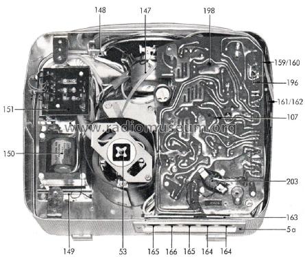 TS19; Grundig Radio- (ID = 2408191) Sonido-V