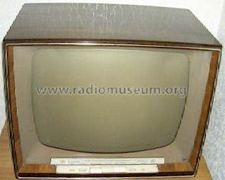 Zauberspiegel 59T50; Grundig Radio- (ID = 239302) Television
