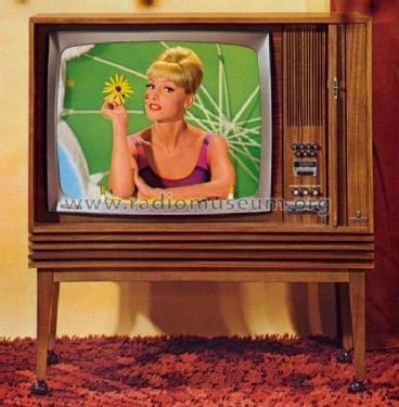 Zauberspiegel Color S 1000; Grundig Radio- (ID = 495584) Television
