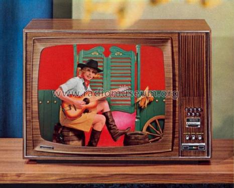 Zauberspiegel Color T 1001; Grundig Radio- (ID = 495540) Television