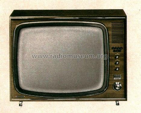 Zauberspiegel T668; Grundig Radio- (ID = 2138731) Television