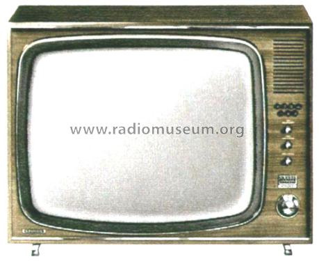 Zauberspiegel T668; Grundig Radio- (ID = 2853570) Television