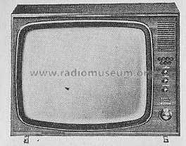 Zauberspiegel T668; Grundig Radio- (ID = 290809) Television