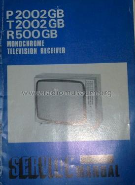 Monochrome Television Receiver P2002GB; Grundig Ltd., London (ID = 1588880) Television